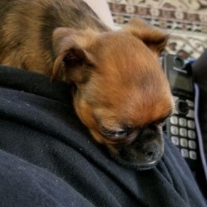 Meet your Posher, Joyce